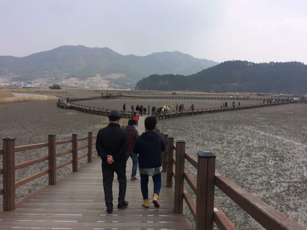 Suncheon Bay path, South Korea.