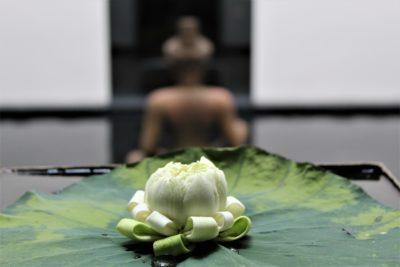 Complete Guide to Massages In Asia (Cheapest Countries)