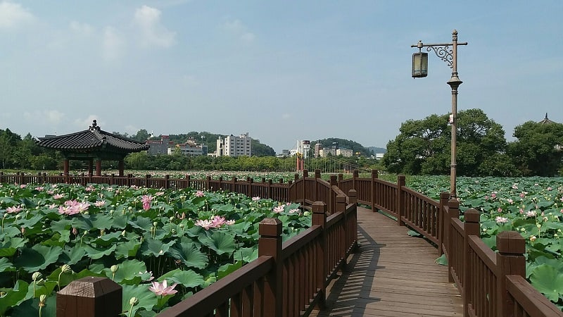 Beautiful landscape and walkway in Jeonju City, South Korea.