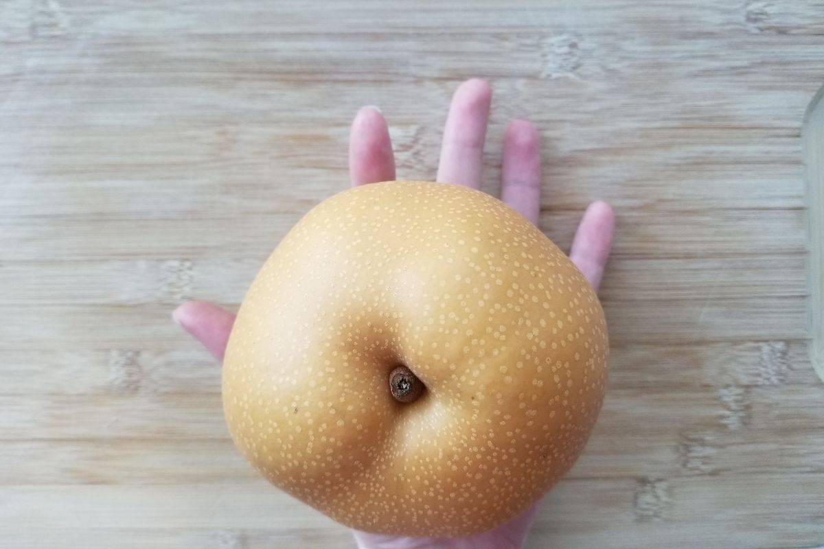 Complete Korean Pear Guide (Asian Pears, Apple Pears)