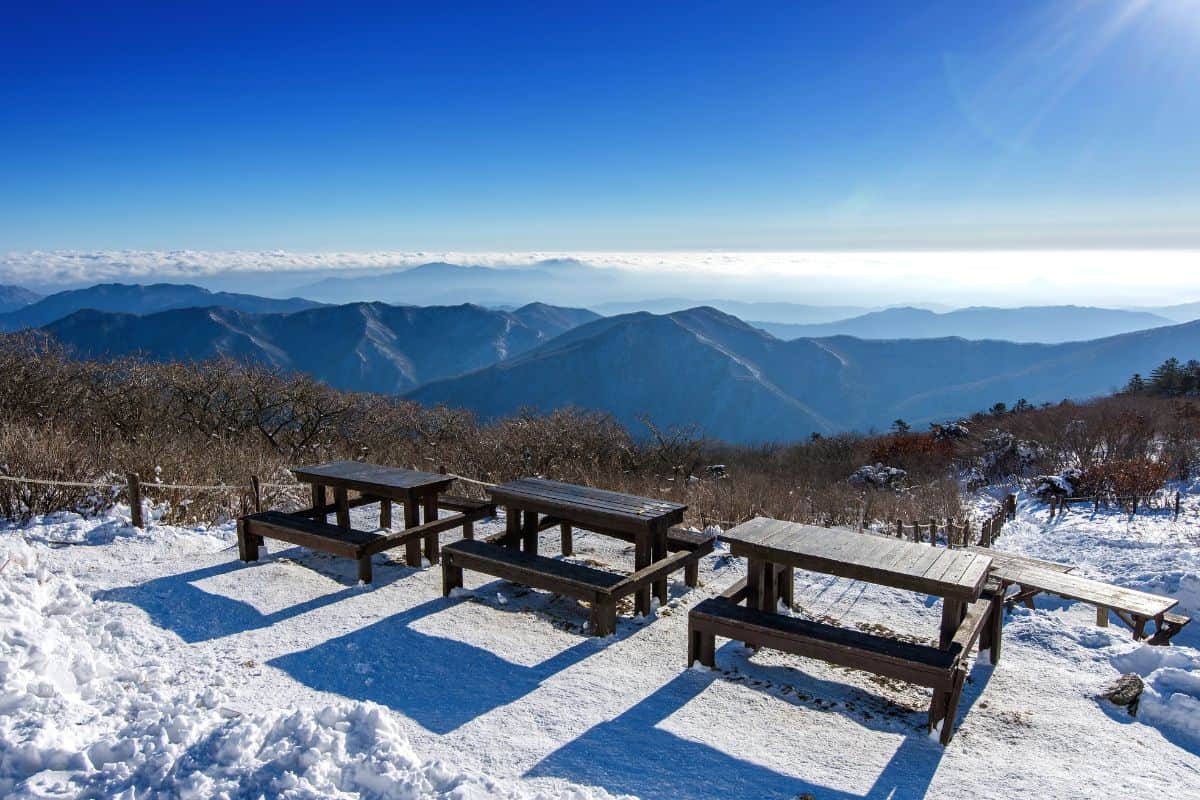 Wooden picnic benches in South Korea during winter.