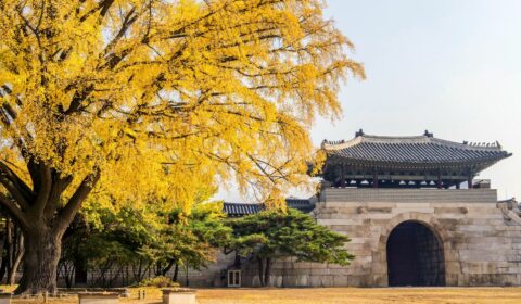 Sunny day during autumn season.