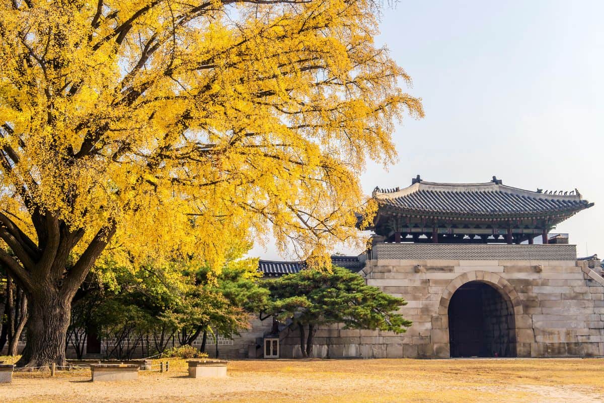 Sunny day during autumn season.