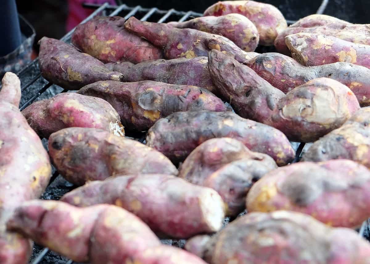17+ Best Korean Street Foods (From a Local!)