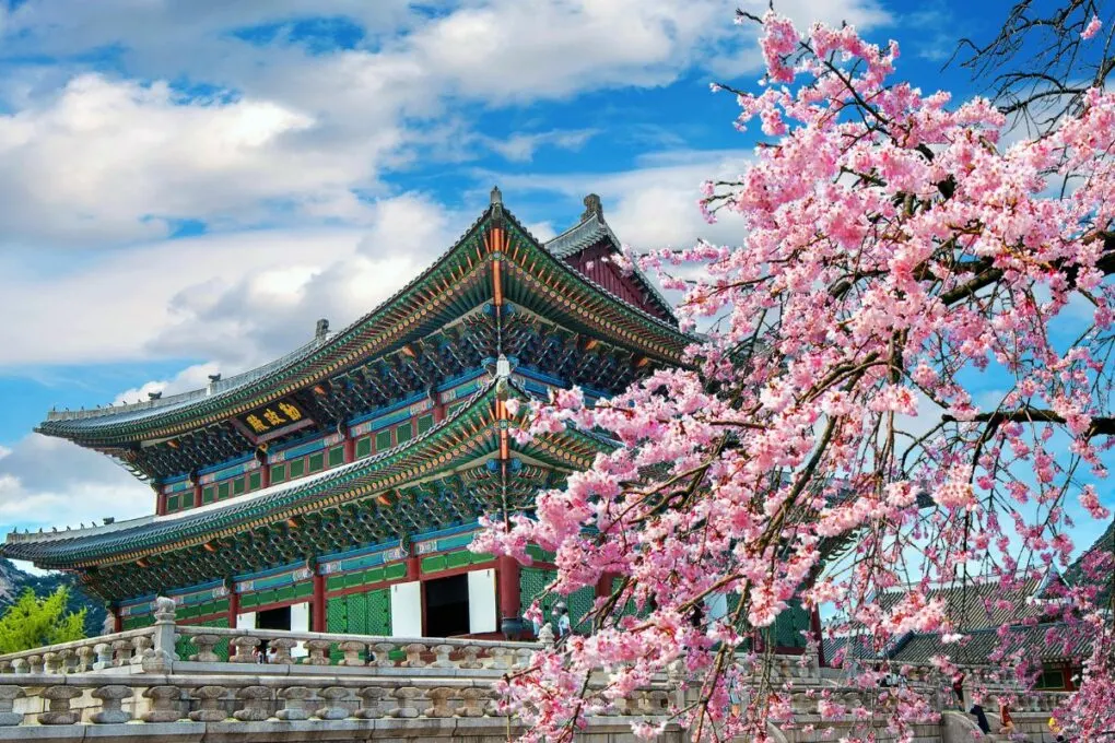 Where to See Cherry Blossoms in Seoul (6 Best Spots)