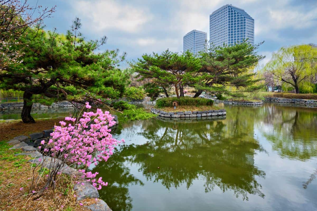 Beautiful nature view in yeouido park, Seoul, South Korea.