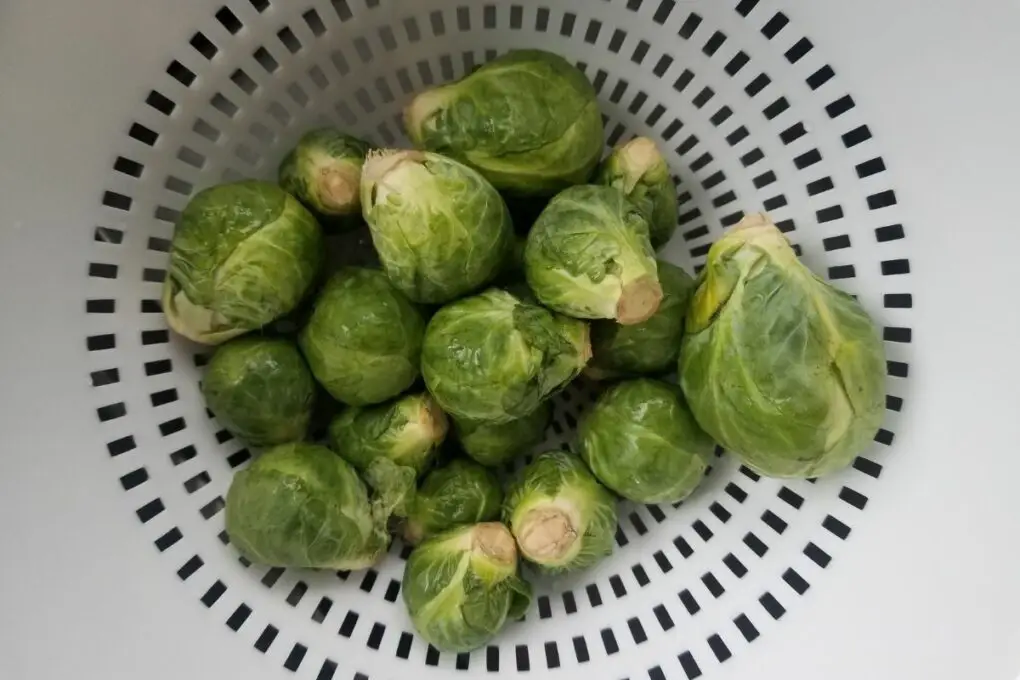 Brussel sprouts.