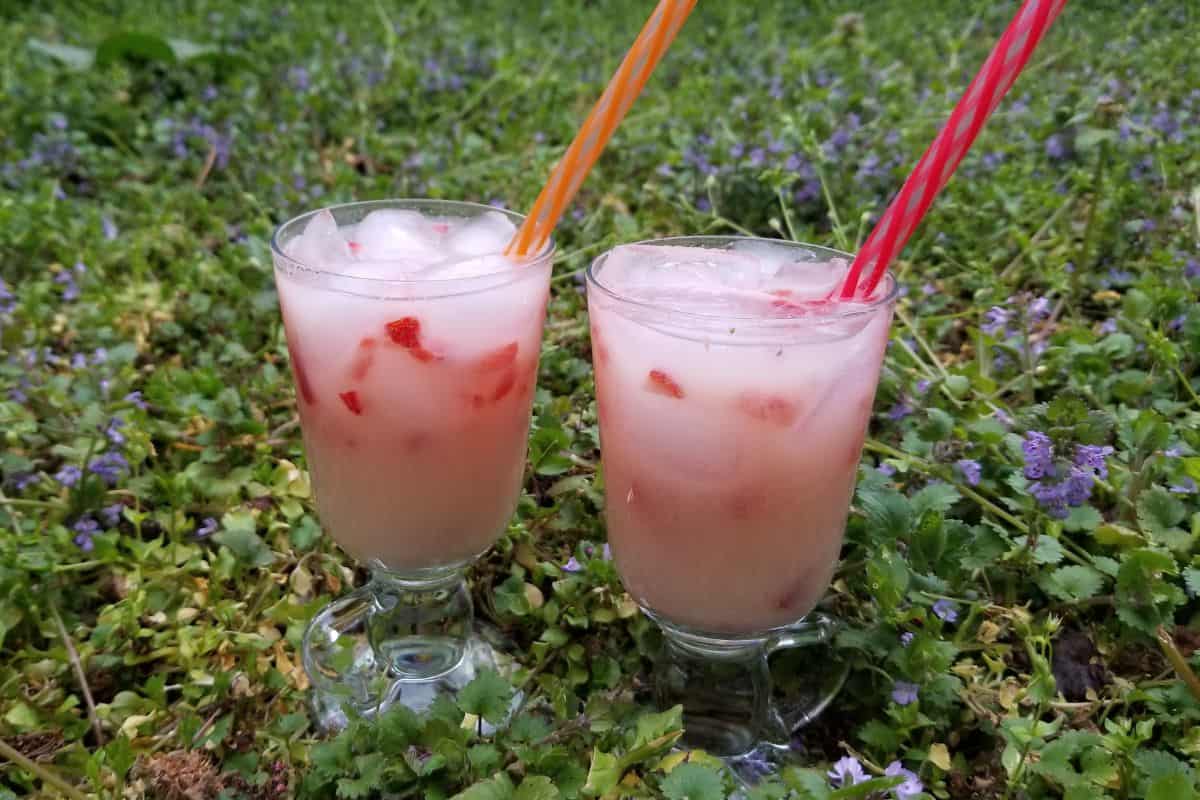 two refreshing glasses of creamy soju cocktail with bits of strawberries