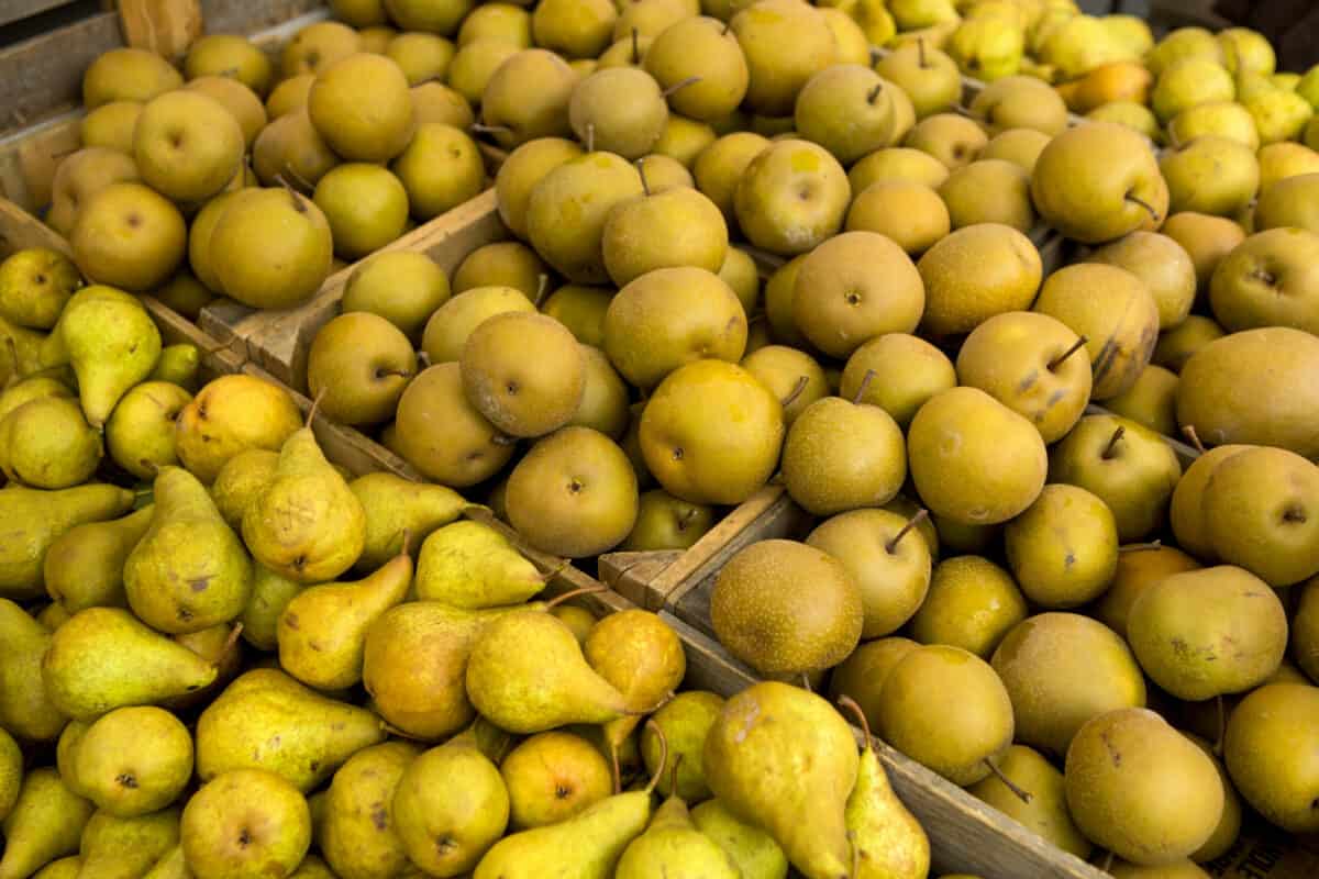 Organic pears from a local market.