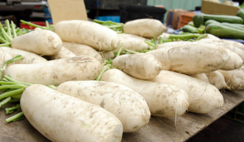 Daikon radish.