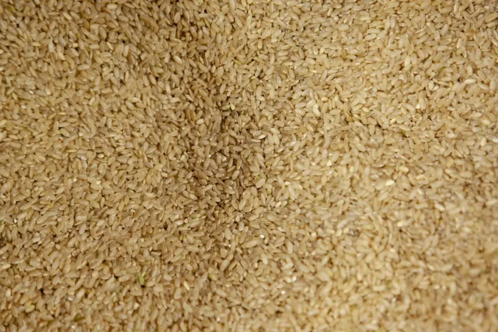Brown short grain rice.