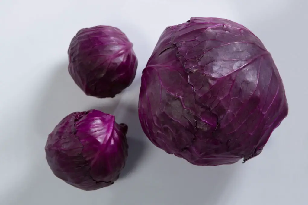 Three red cabbages.