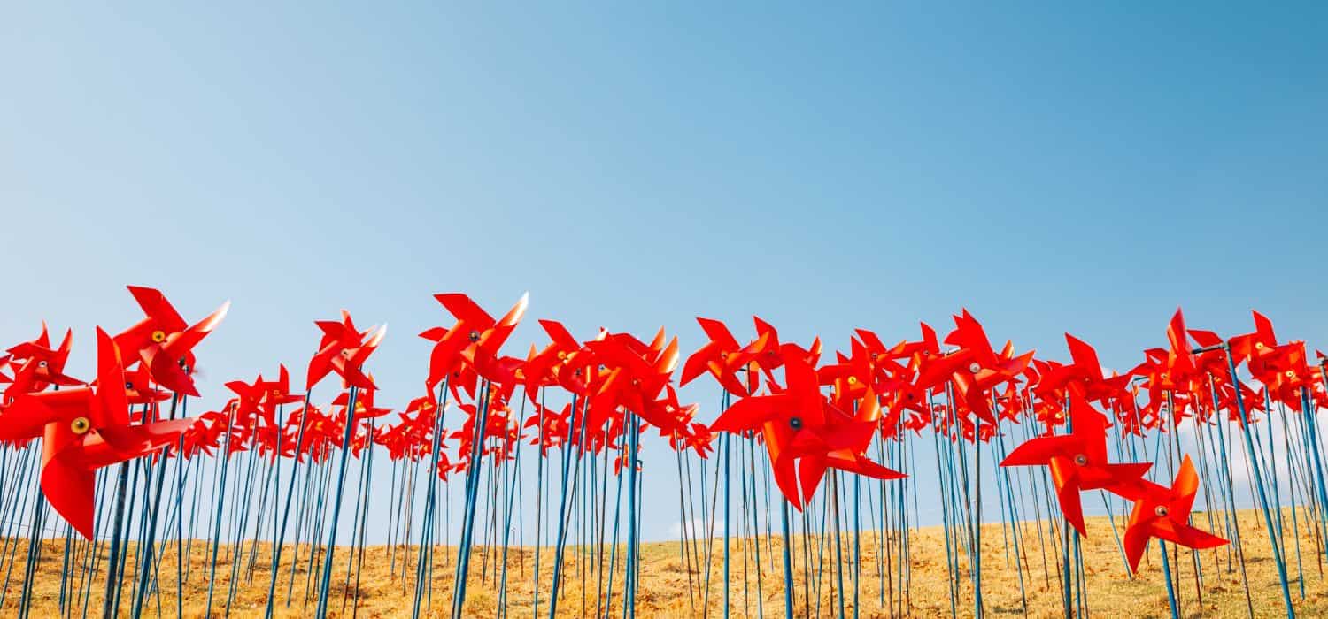 Red Pinwheels at Imjingak Pyeonghoa-Nuri Park.