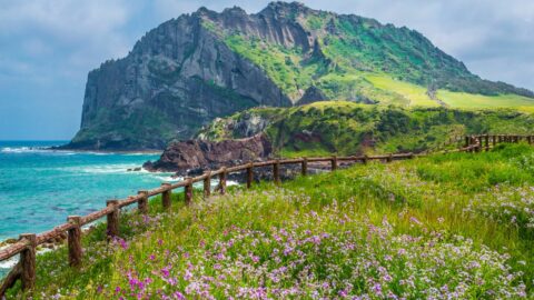 Lush greenery and mountain view at Jeju Island, South Korea.