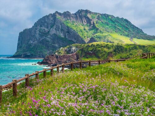 Lush greenery and mountain view at Jeju Island, South Korea.
