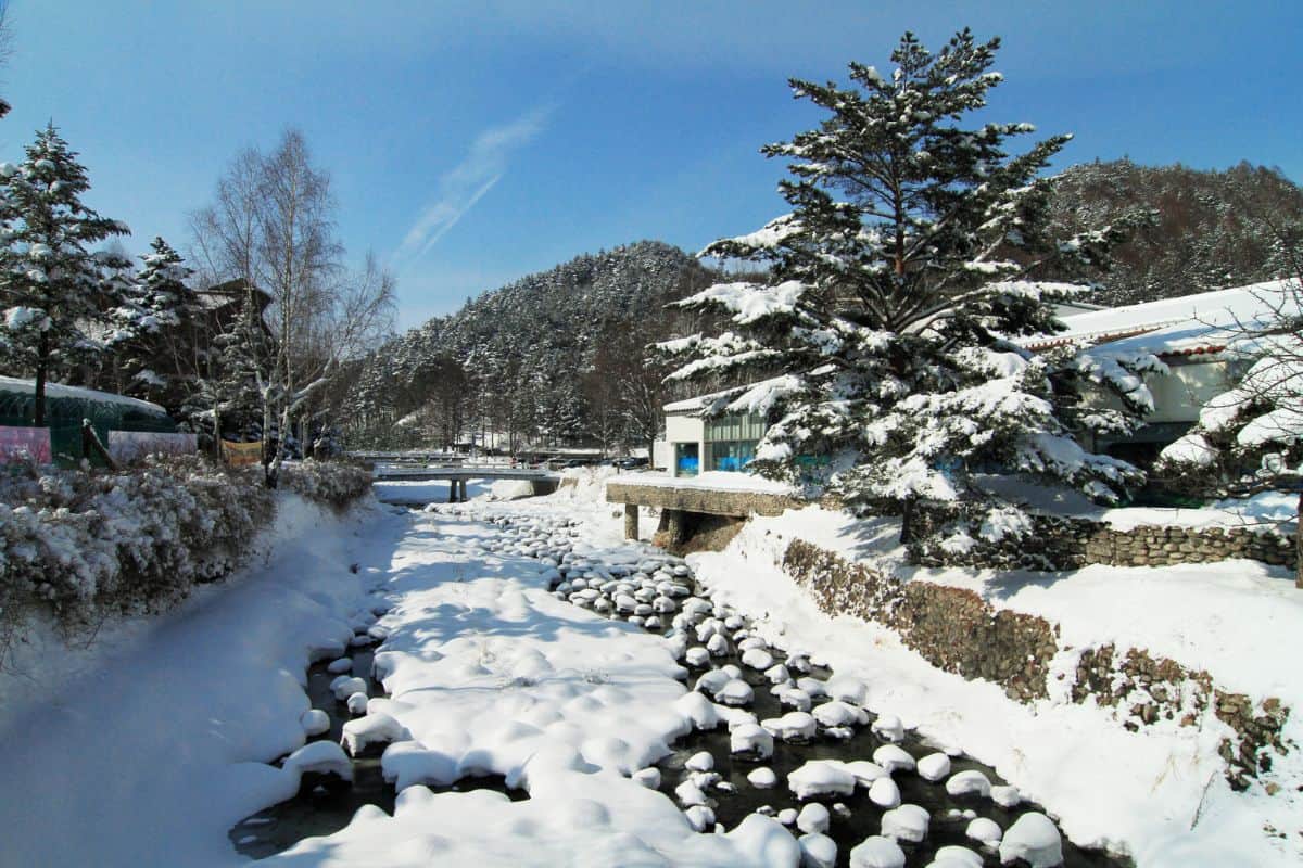 A photo of Korea during winter.