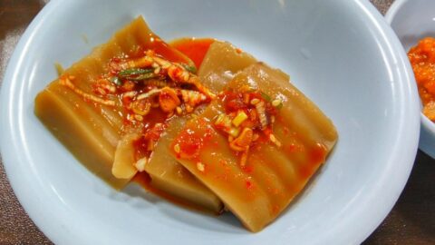 A bowl of acorn jelly salad.