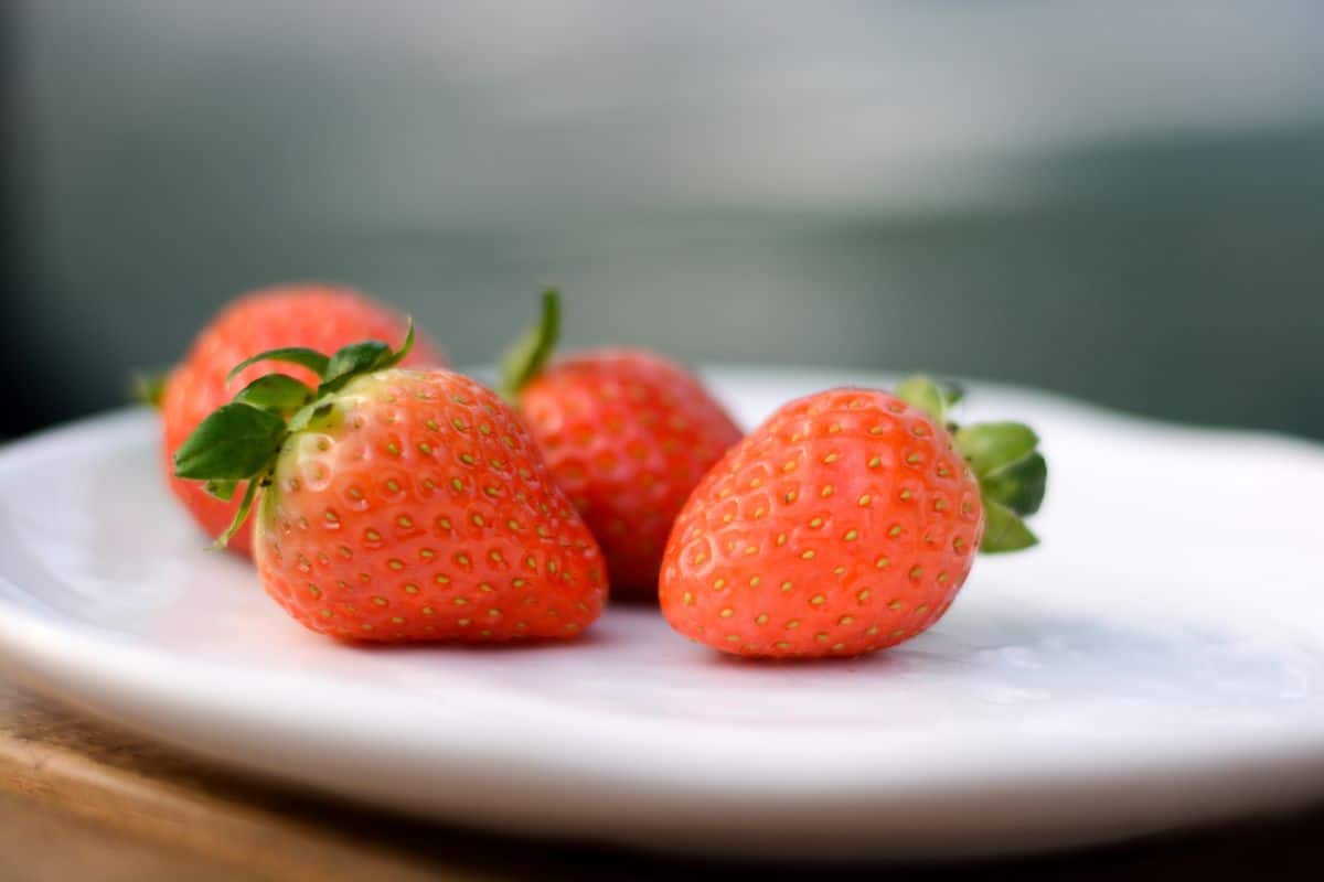 A plate of Korean strawberries.