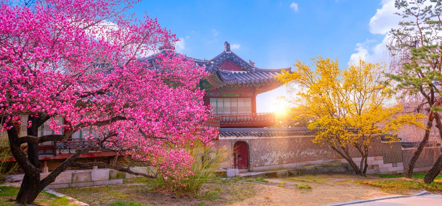 Korean temple during spring in Korea.