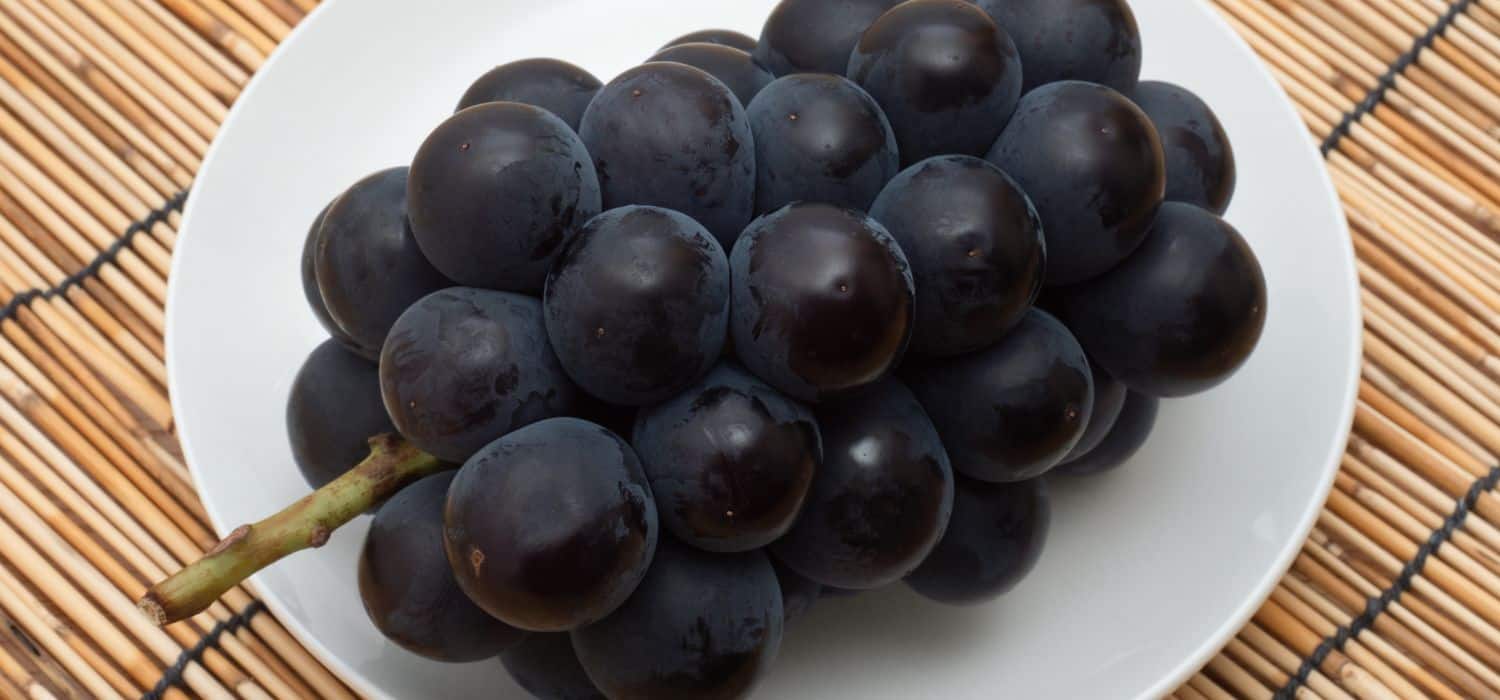 Kyoho seedless grape.
