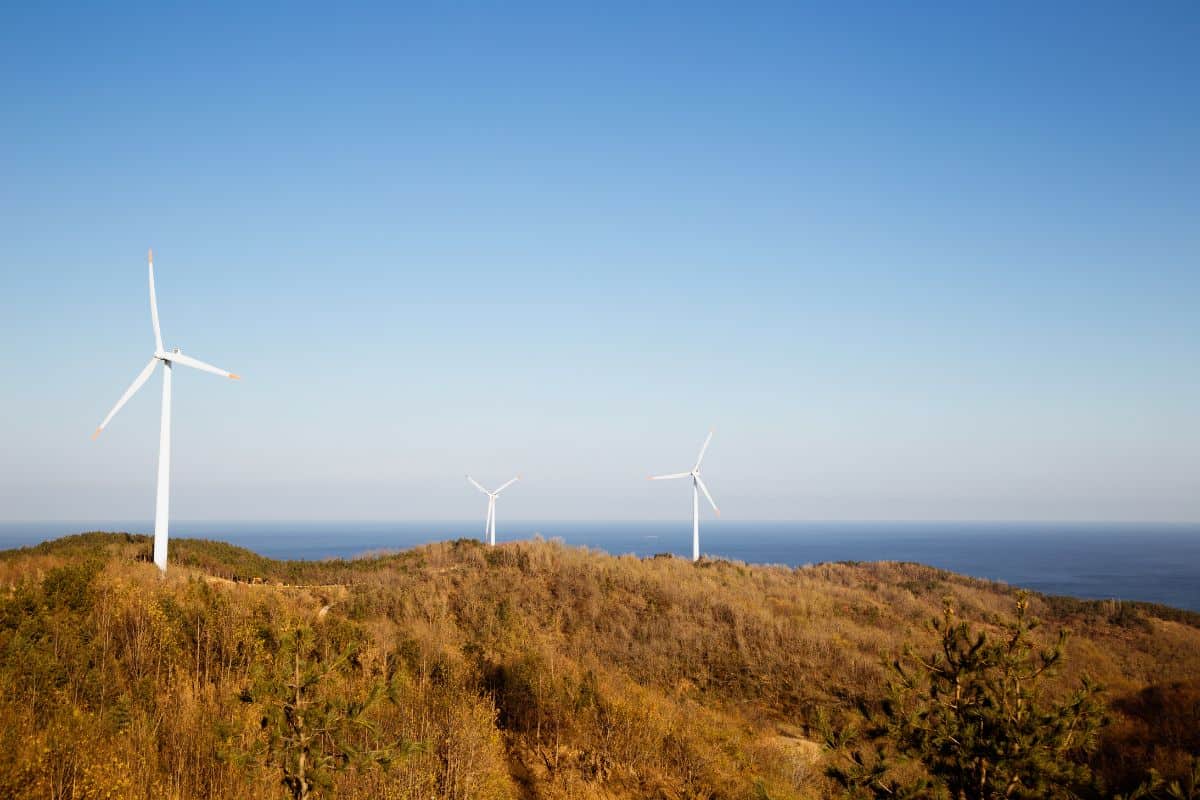 Wind Farm by the Sea in Yeongdeok, Korea.