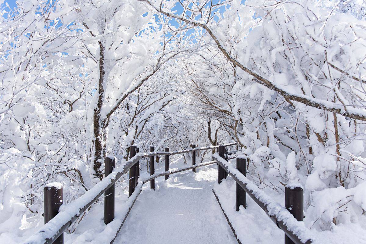 Winter trail in South Korea.