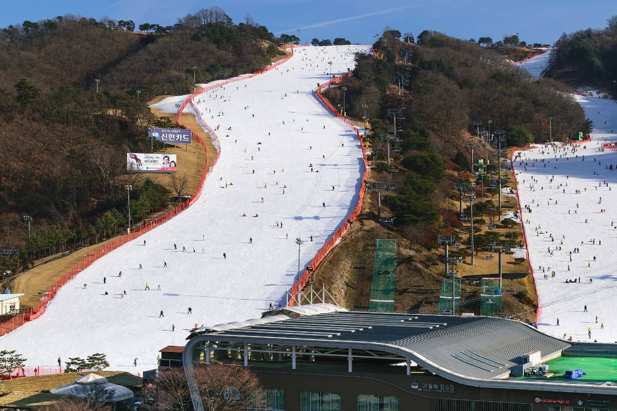 an aerial view of Vivaldi Park Ski World, South Korea.