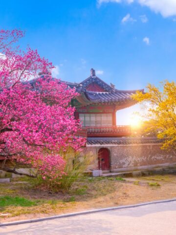 A nice temple in Korea during summer season.