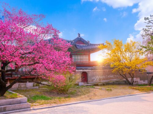 A nice temple in Korea during summer season.