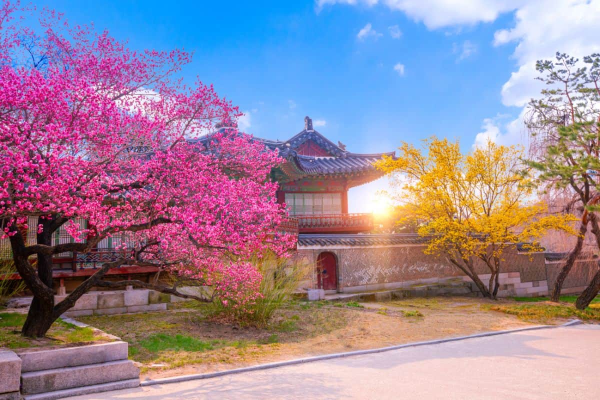 A nice temple in Korea during summer season.