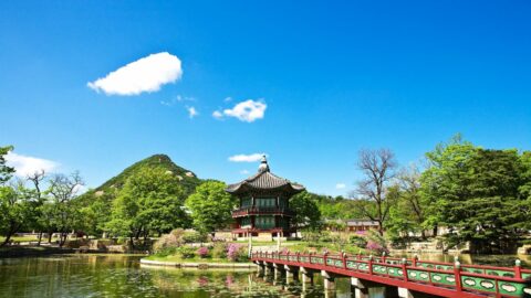 Gyeongbok Palace in Korea during a hot summer day.