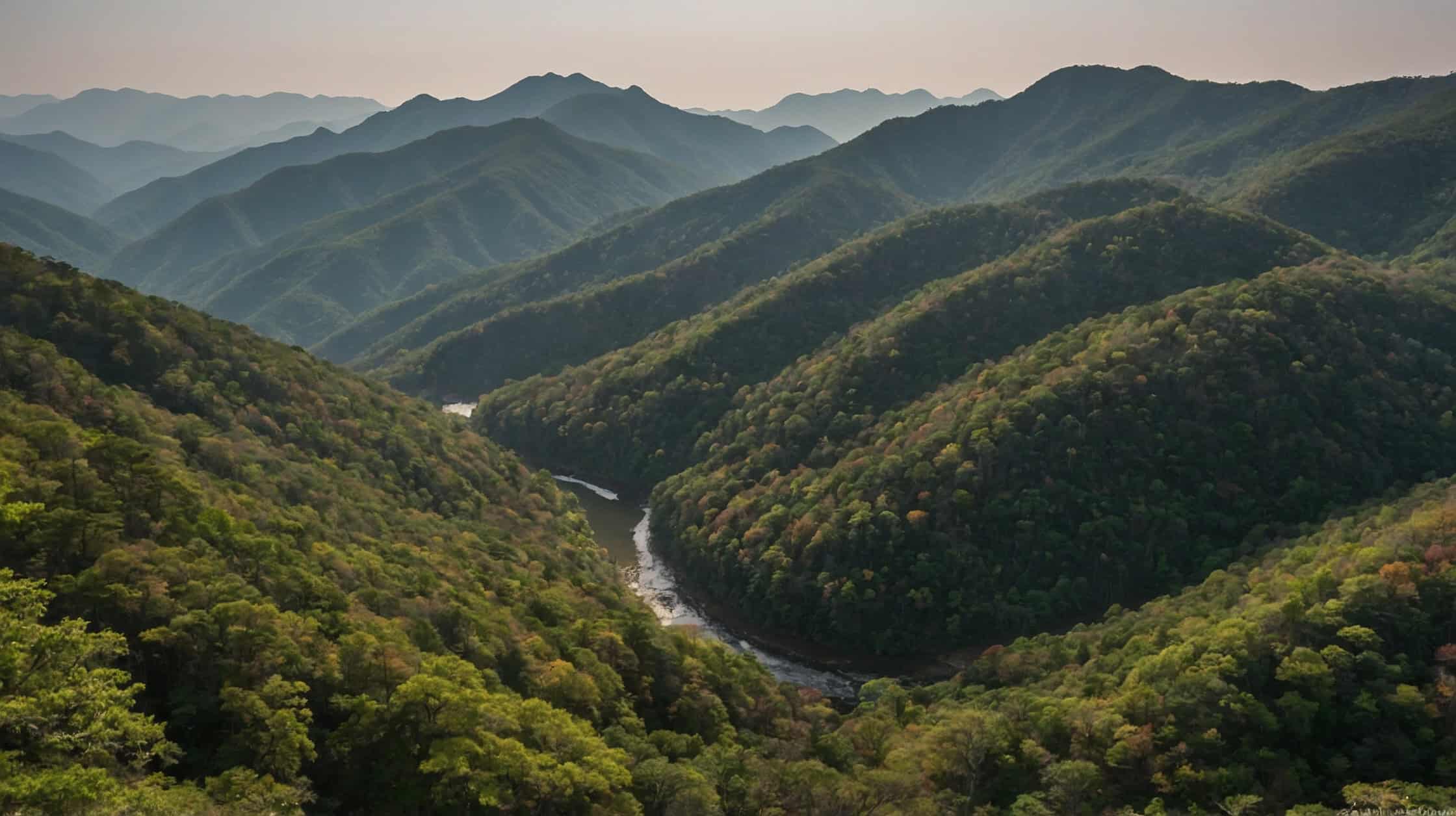 An aerial view of Odaesan National Park.