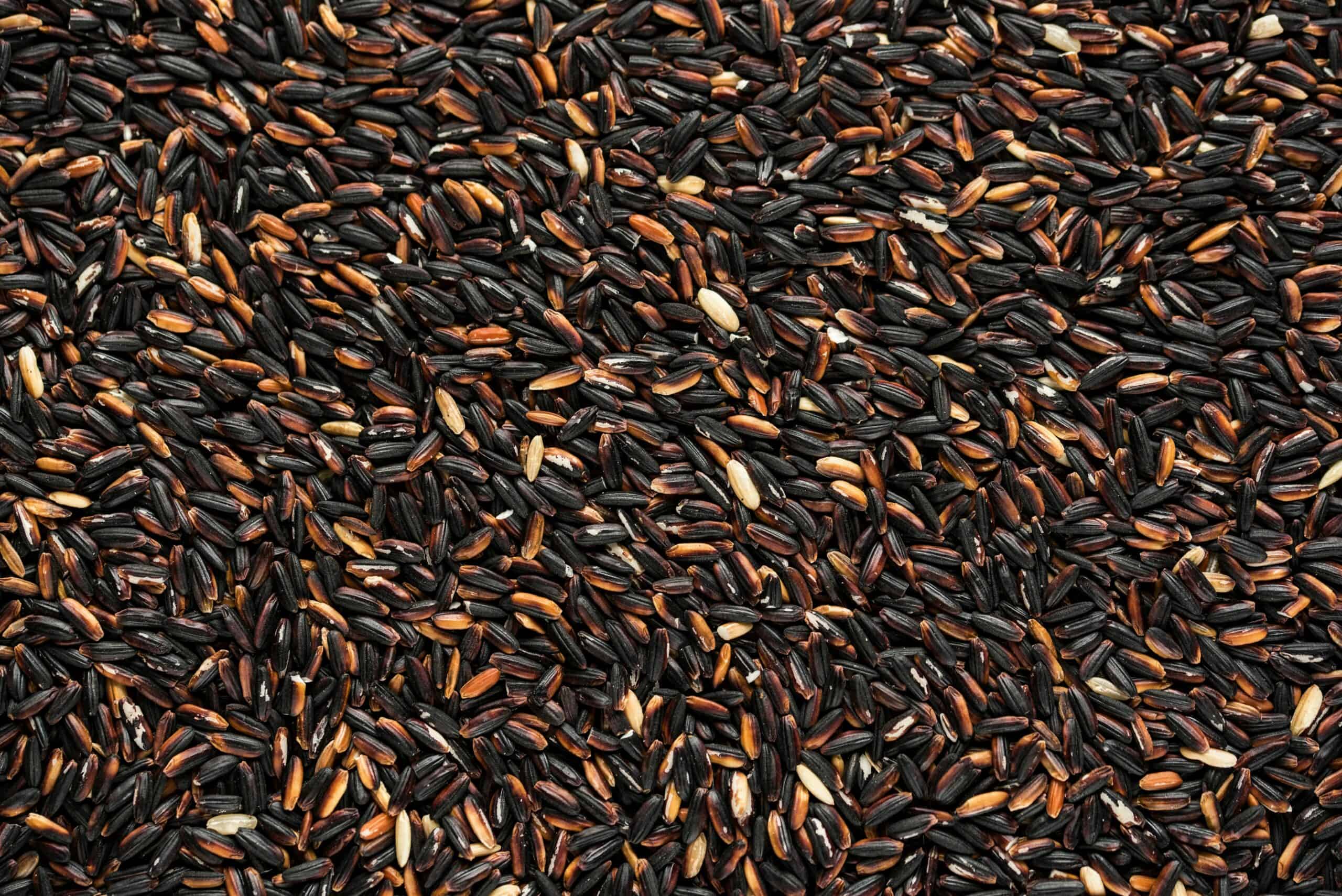 A photo of black rice for comparison.