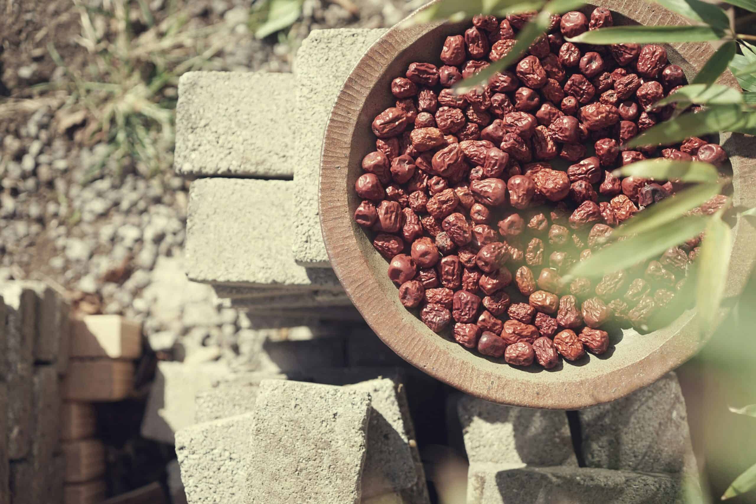 Dried jujubes.