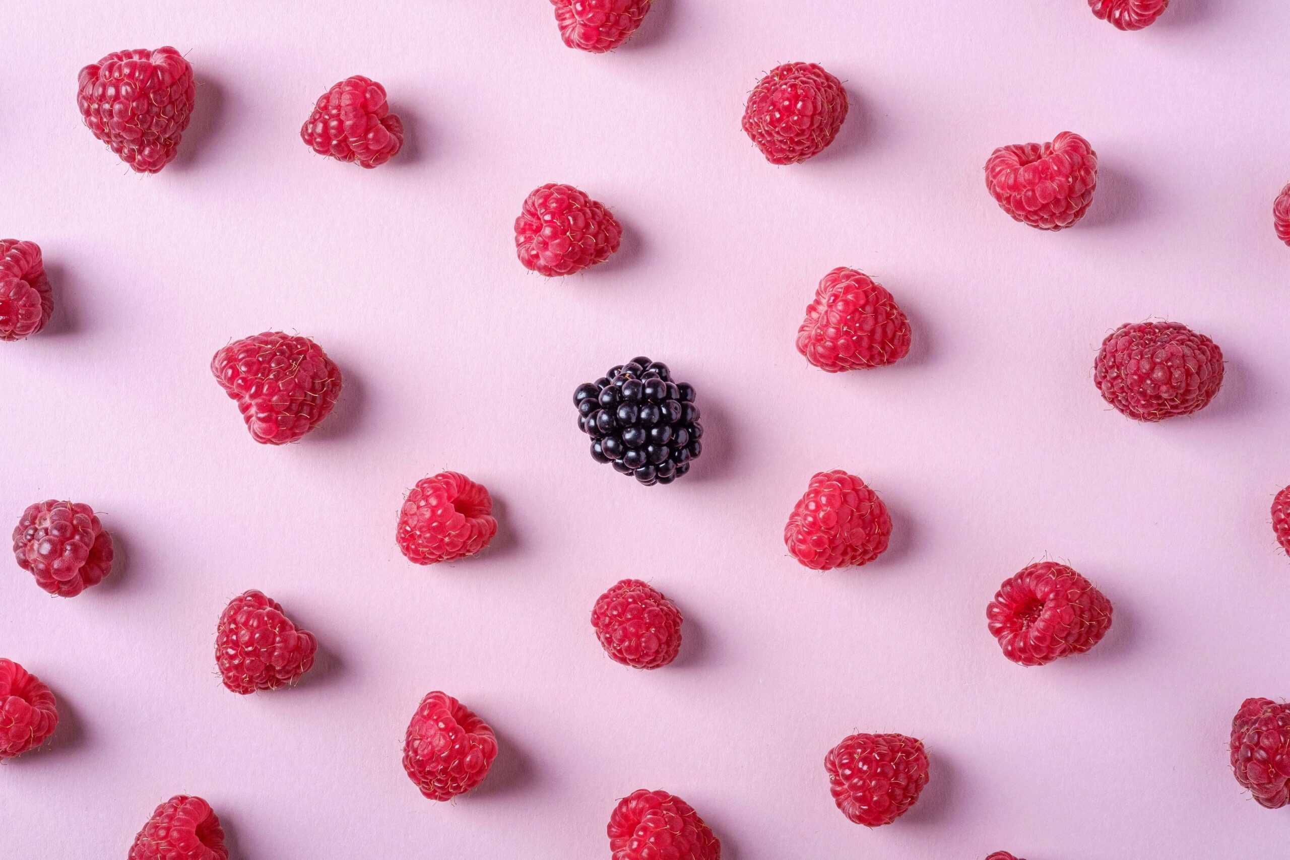 Mountain black raspberry along with red ones. 