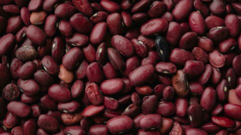 Read beans.