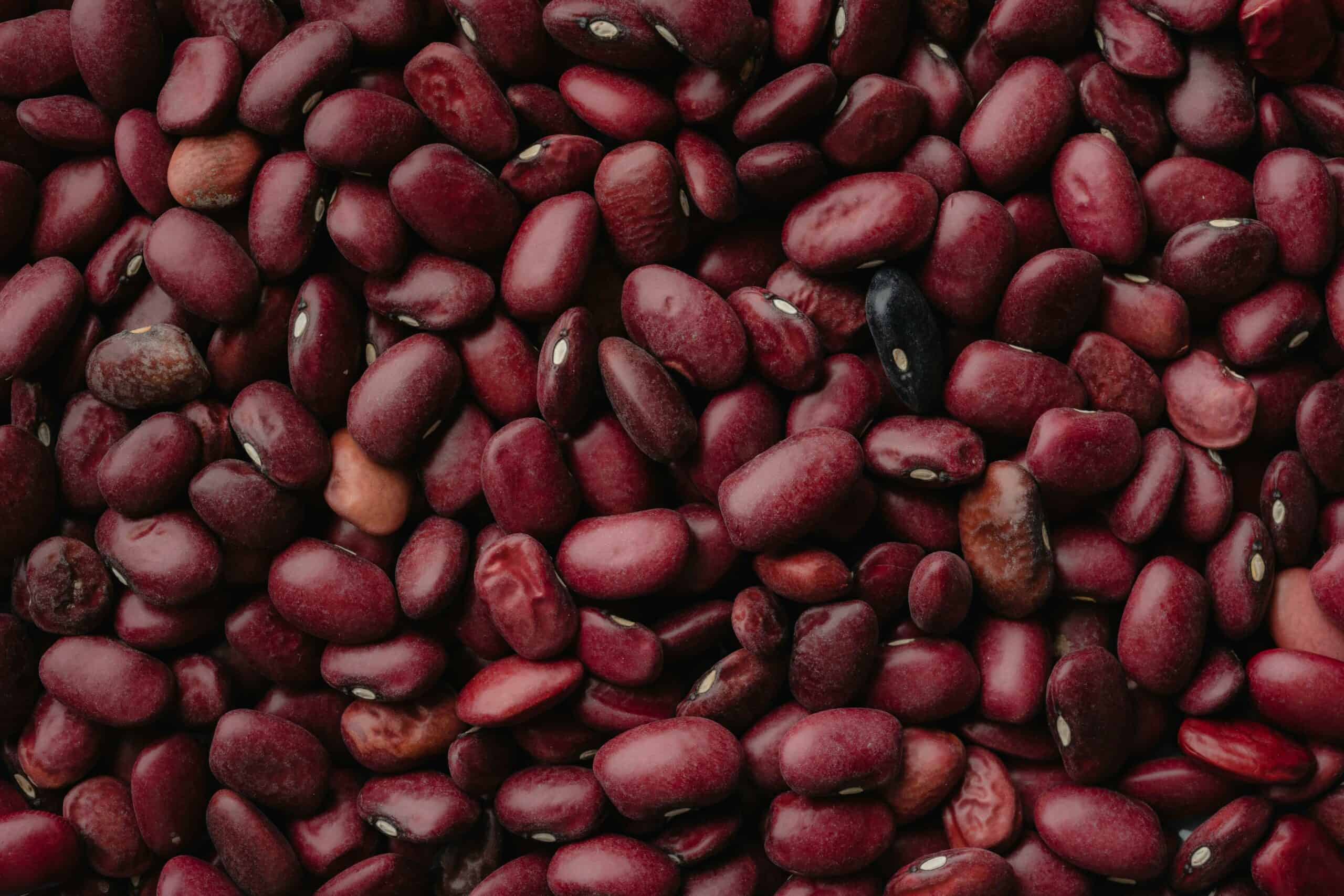 Read beans.