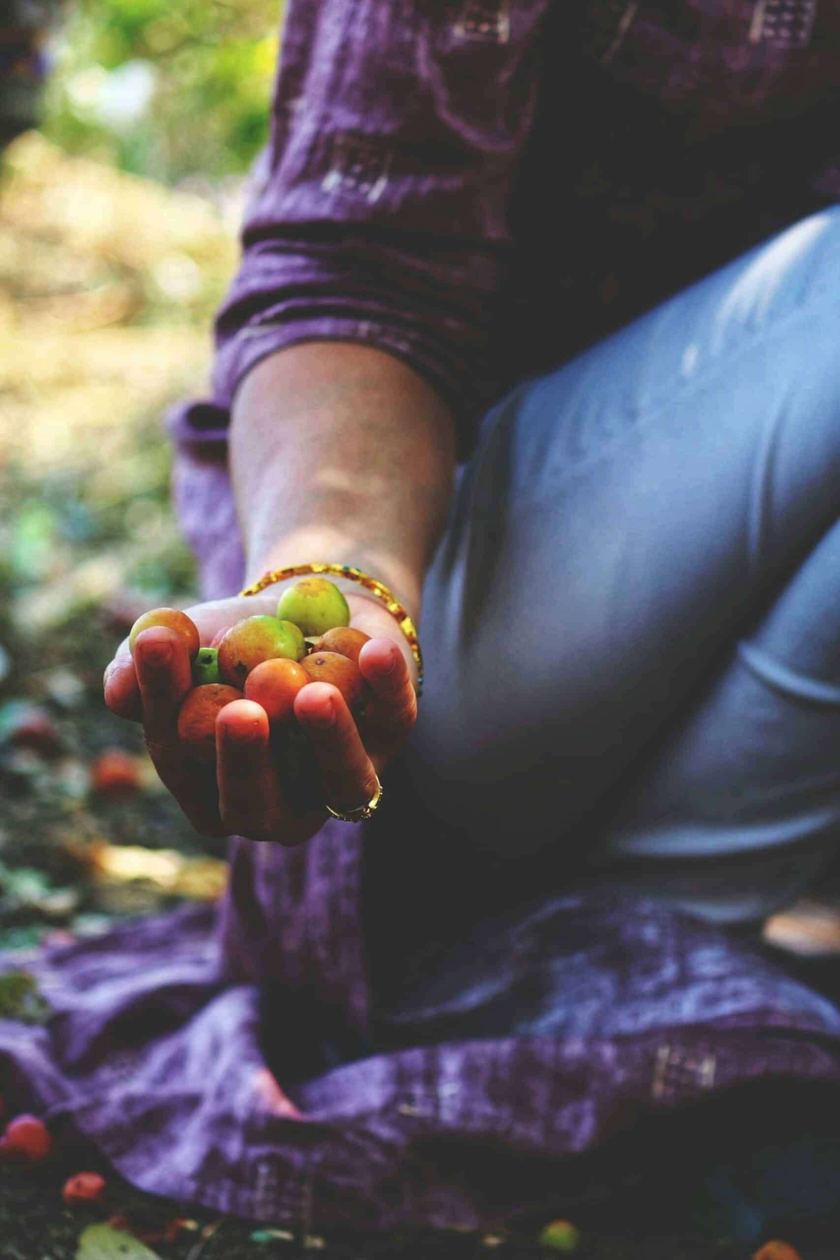Person holding jujubes.