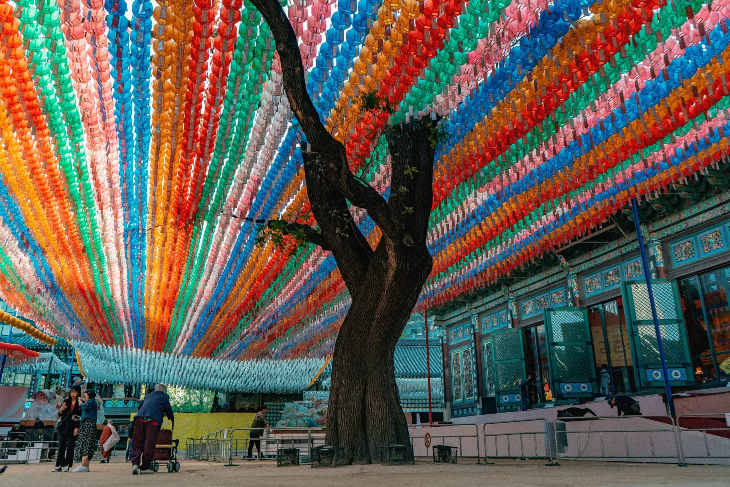 Colorful lanterns hanging.