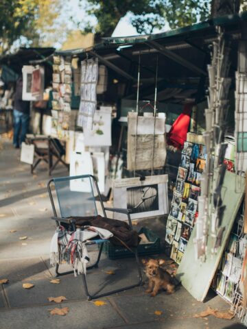 Vintage outdoor market stall in Seoul, Korea, selling books, artwork, and souvenirs with a small dog.