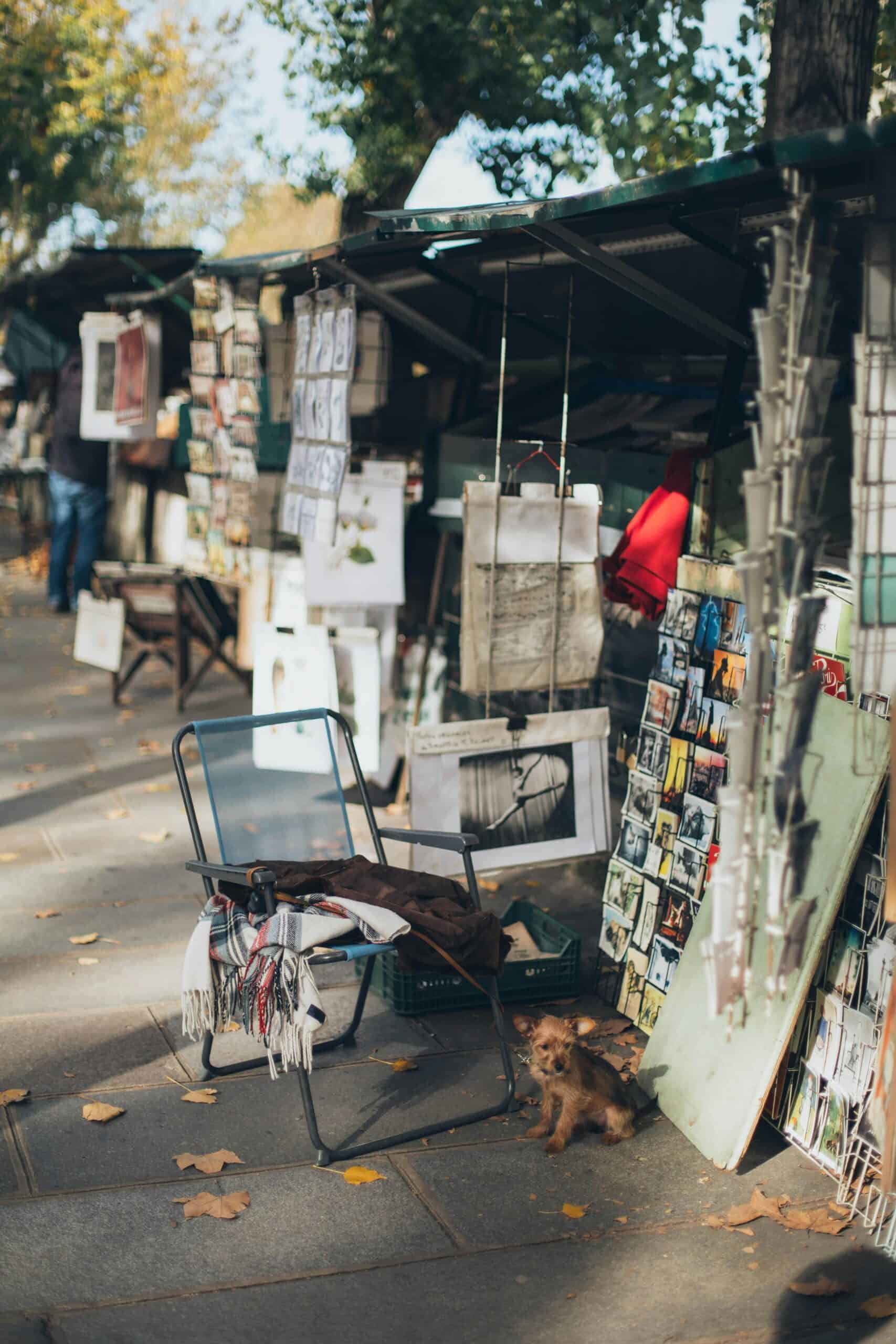 Vintage outdoor market stall in Seoul, Korea, selling books, artwork, and souvenirs with a small dog.
