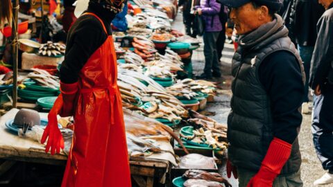 Seafood market in Seoul with fresh fish and shellfish displays.